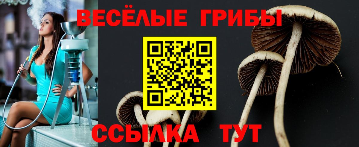 Галлюциногенные грибы мицелий  Галлюциногенные грибы Magic Shrooms  Вход с VPN  Дубна 